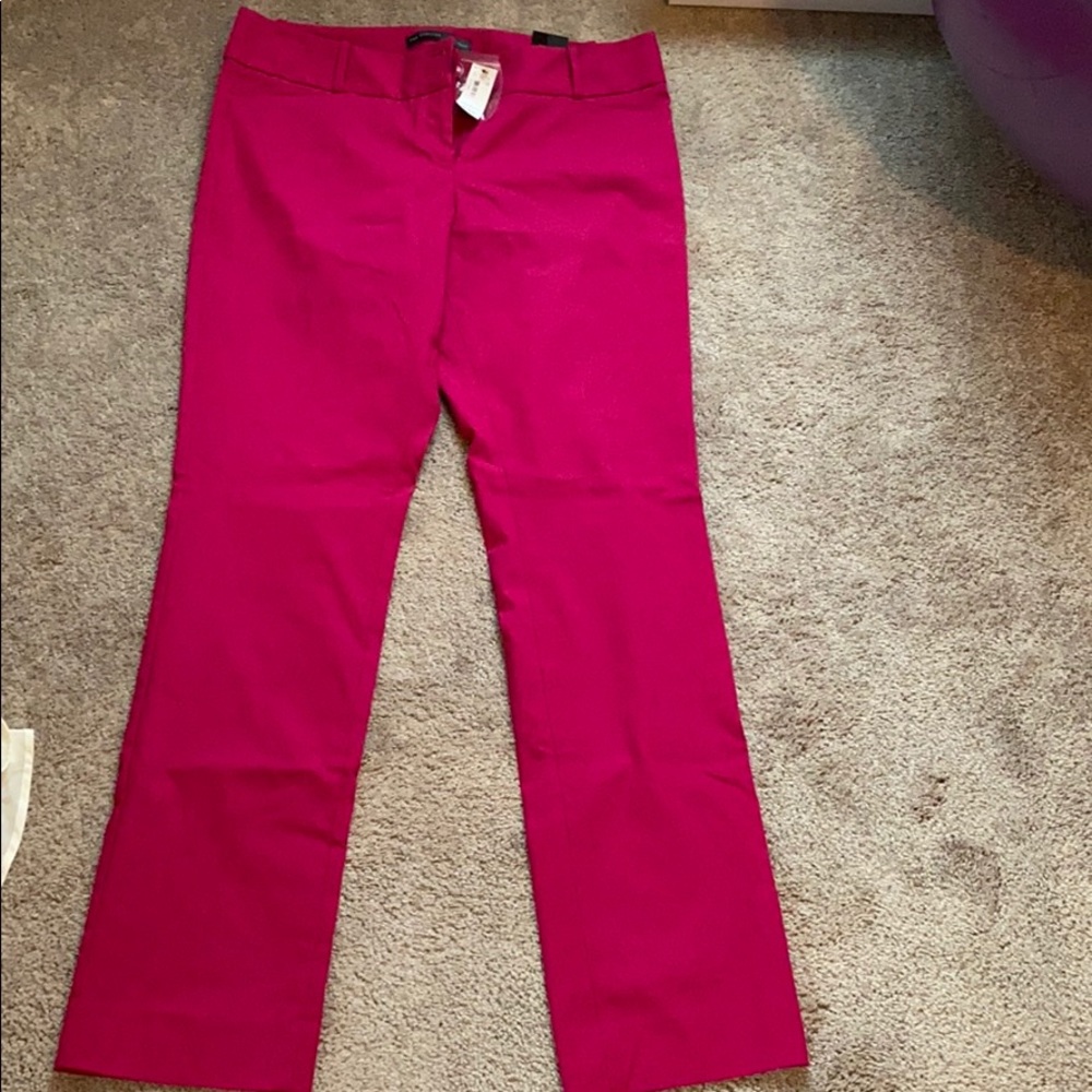 NWT The Limited Exact Stretch Pants